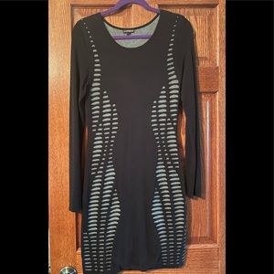 Express stretchy bodycon sweater dress